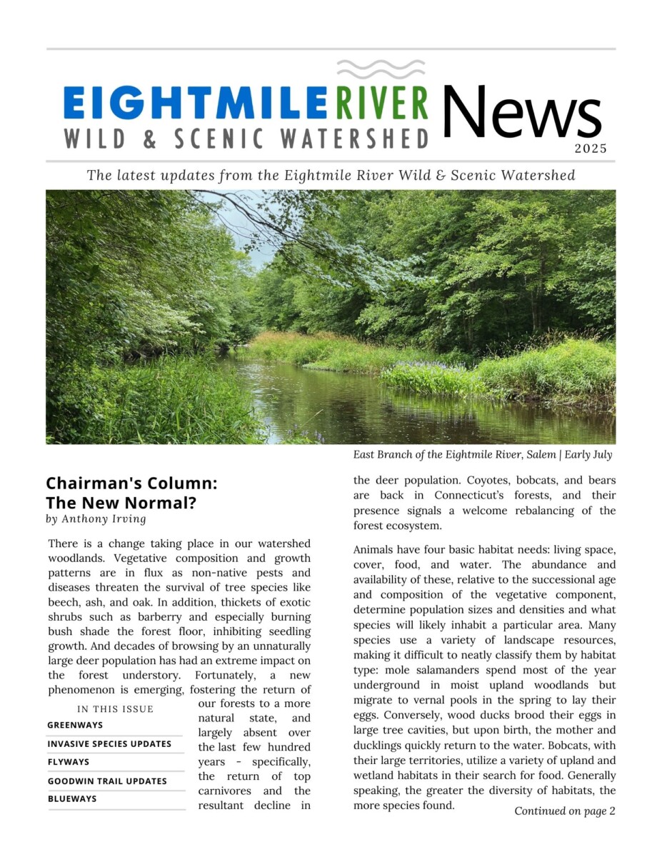 2025 Newsletter - Final